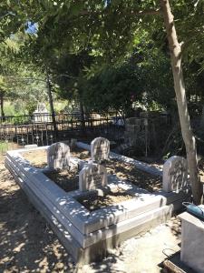 Ceyhan bazalt taşı aile mezarlığı 17